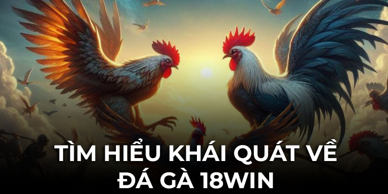 Tìm hiểu khái quát về sảnh đá gà 18Win